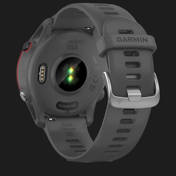 Часы Garmin Forerunner 255 (Slate Gray) b851b9bf-2c8f-4413-ab69-8a557be862b3 фото