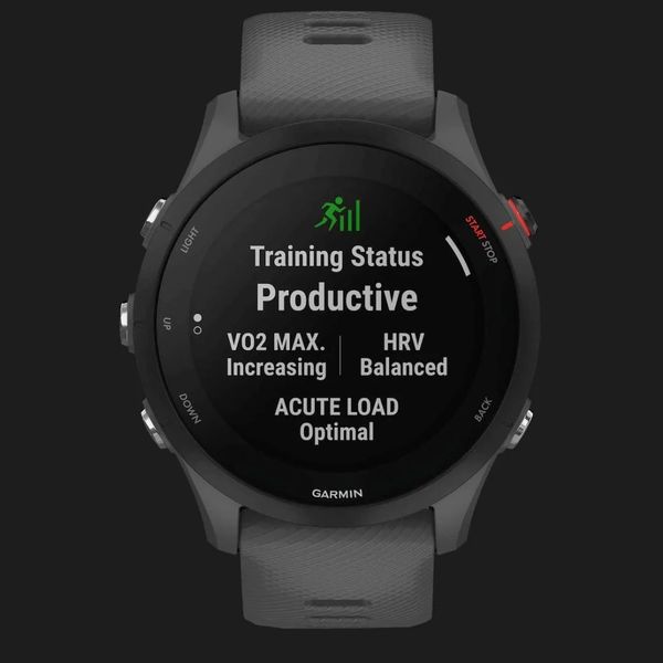 Часы Garmin Forerunner 255 (Slate Gray) b851b9bf-2c8f-4413-ab69-8a557be862b3 фото