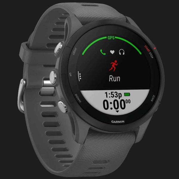 Часы Garmin Forerunner 255 (Slate Gray) b851b9bf-2c8f-4413-ab69-8a557be862b3 фото