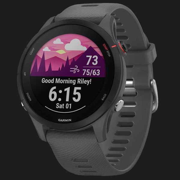 Часы Garmin Forerunner 255 (Slate Gray) b851b9bf-2c8f-4413-ab69-8a557be862b3 фото