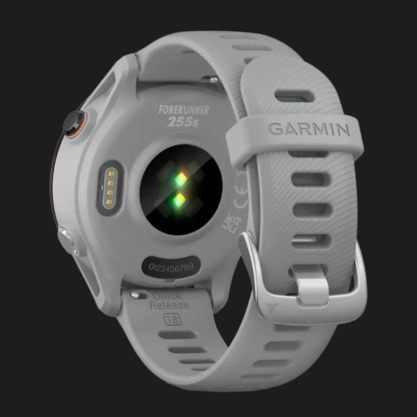 Годинник Garmin Forerunner 255S (Powder Gray) 1d17bf7f-450b-4b4a-9215-3ac161cdb0dd фото