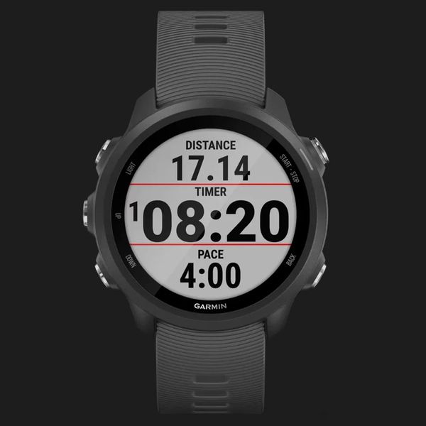 Garmin Forerunner 245 (Slate Gray) 3e03e8a9-0ae4-4556-aaa3-e110e82c413d фото