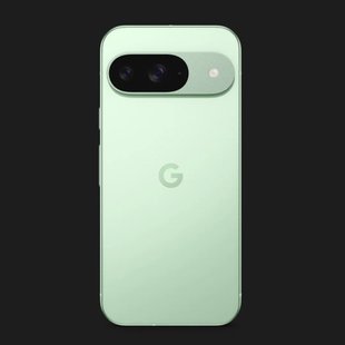 Google Pixel 9 12/128GB (Wintergreen) 464a53f0-0619-48c8-8d0f-976256e6e0ce фото