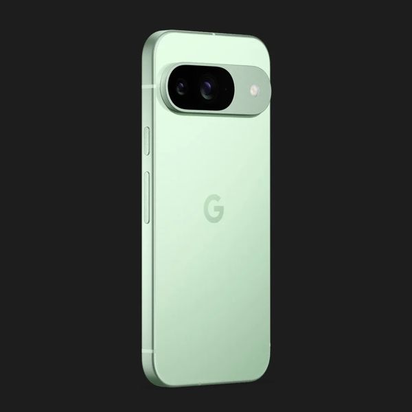 Google Pixel 9 12/128GB (Wintergreen) 464a53f0-0619-48c8-8d0f-976256e6e0ce фото