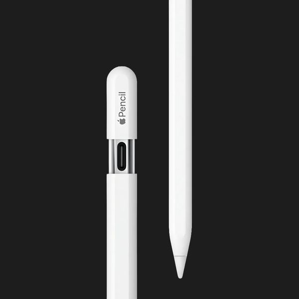 Apple Pencil (USB-C) (MUWA3) (2023) e13cc345-c03b-489d-8a2e-eae0f954394e фото