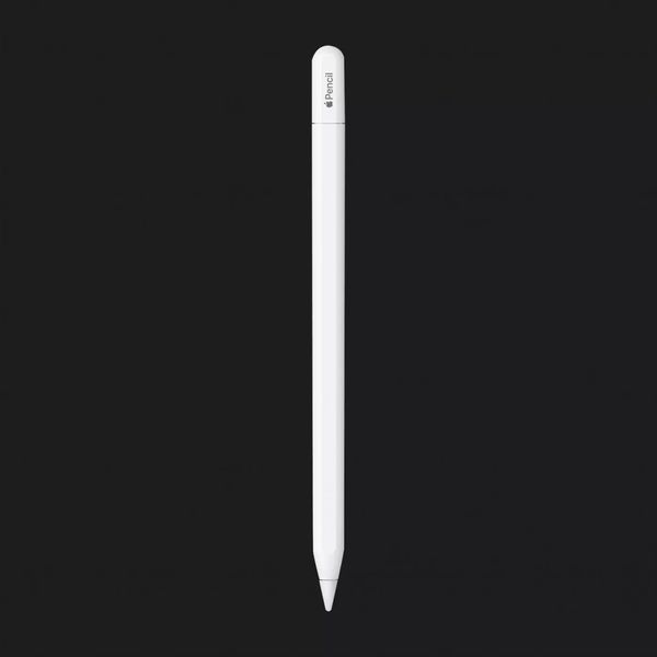 Apple Pencil (USB-C) (MUWA3) (2023) e13cc345-c03b-489d-8a2e-eae0f954394e фото