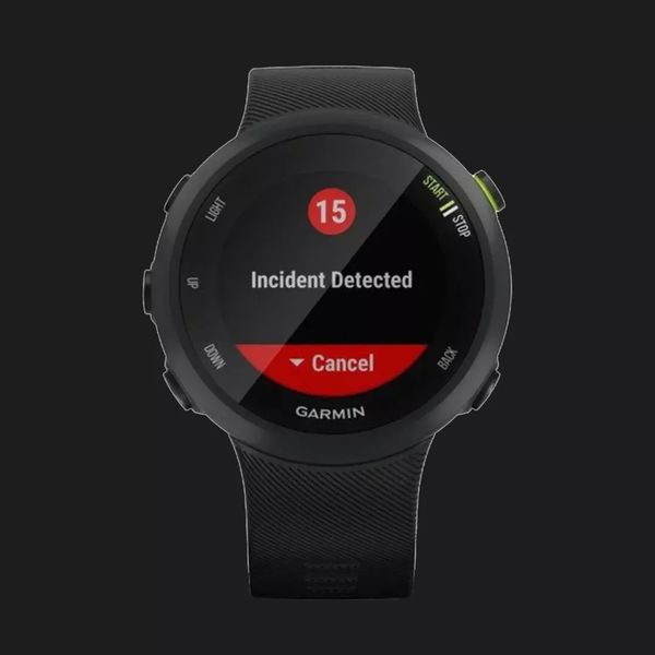 Garmin Forerunner 45 Black 0ef9c1c5-cbcf-4c6e-97ab-cc7c7f52441d фото