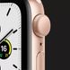 Apple Watch Series SE 40mm Gold with Starlight Sport Band (MKQ03) eedc5077-94ce-4b18-bce2-b0bd4787edc3 фото 5